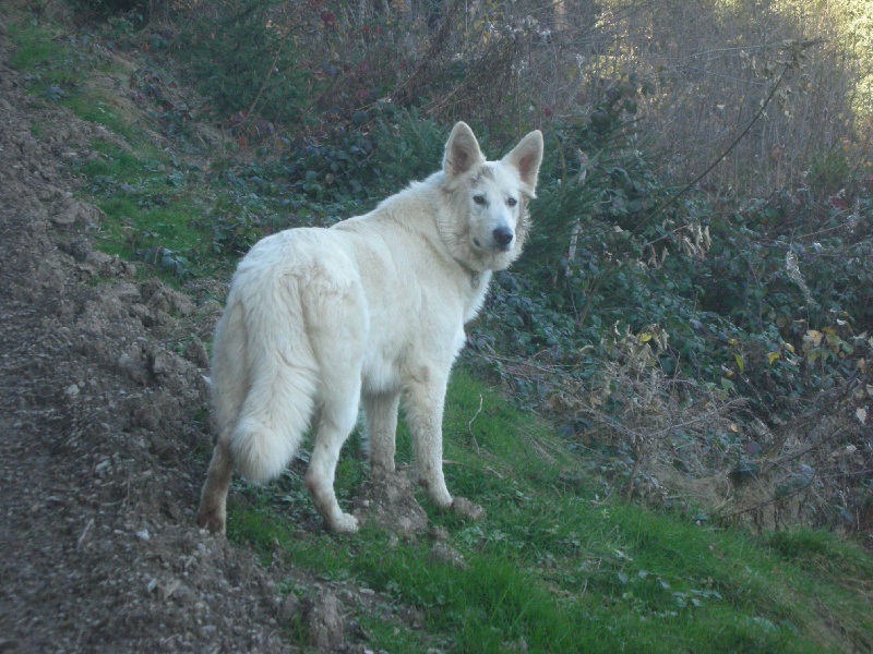 Gloove De la paix retrouvee