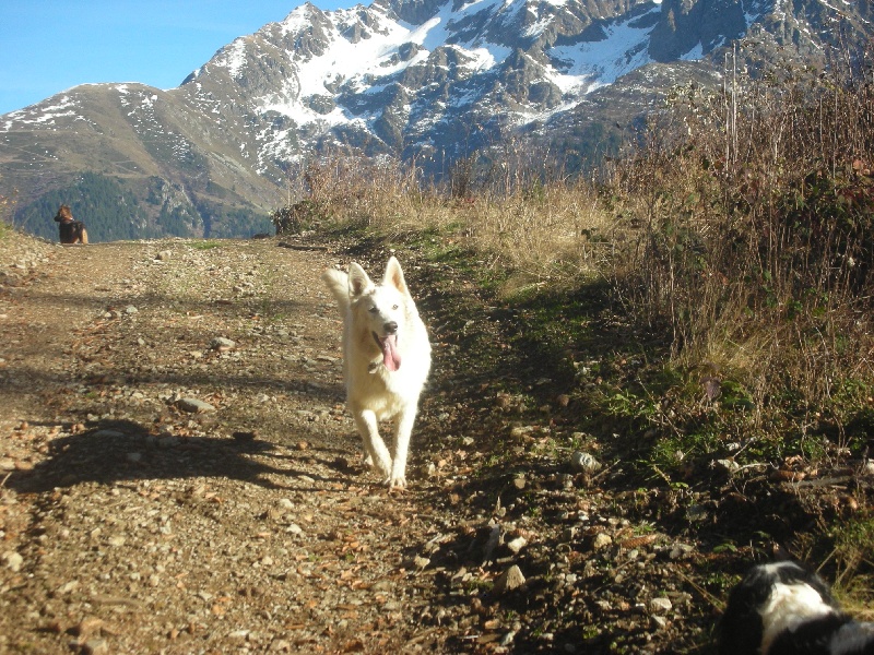 Gloove De la paix retrouvee